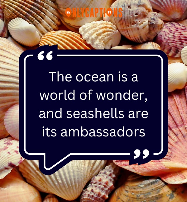 Quotes About Seashells 2-OnlyCaptions