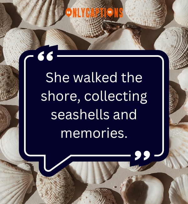 Quotes About Seashells 3-OnlyCaptions