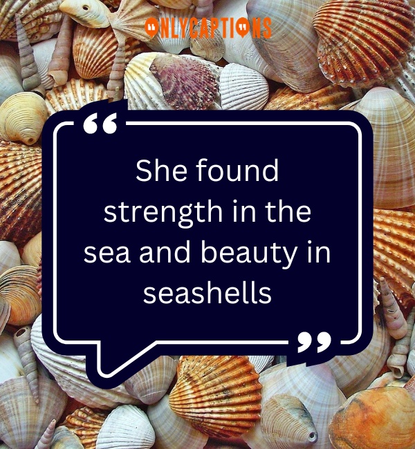 Quotes About Seashells-OnlyCaptions
