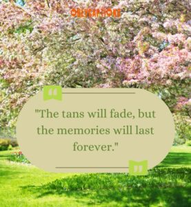 2050+ Spring Captions For Instagram (2025) Petals of Praise