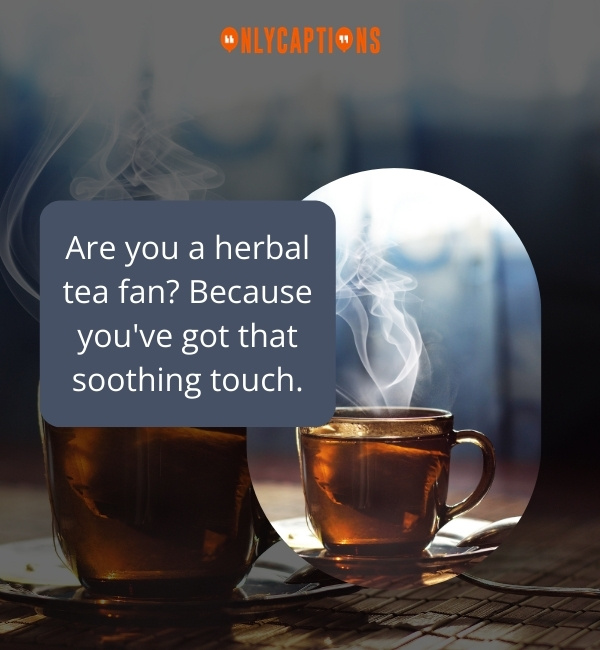 Tea Pick Up Lines-OnlyCaptions