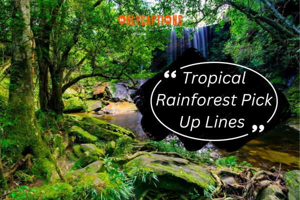 Tropical Rainforest Pick Up Lines-OnlyCaptions