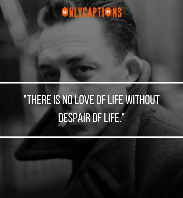 Albert Camus Quotes 3 1-OnlyCaptions