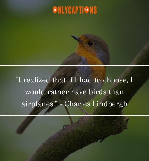 Bird Quotes 2-OnlyCaptions