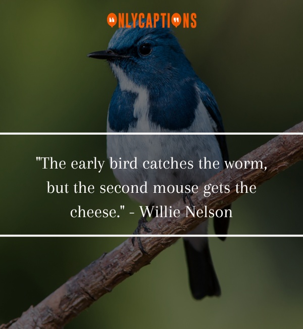 Bird Quotes 3-OnlyCaptions