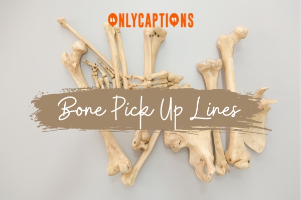 Bone Pick Up Lines 1-OnlyCaptions