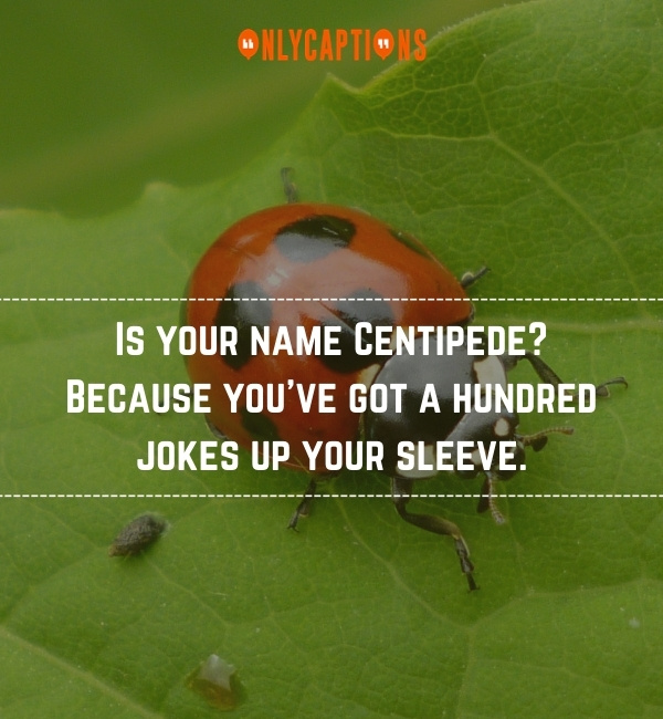 Bug Pick Up Lines 3-OnlyCaptions