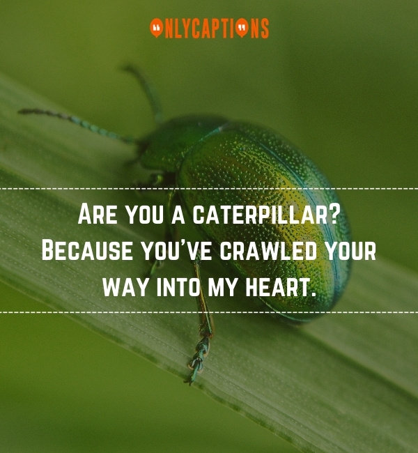 Bug Pick Up Lines-OnlyCaptions