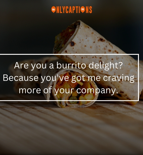 Burrito Pick Up Lines 2-OnlyCaptions