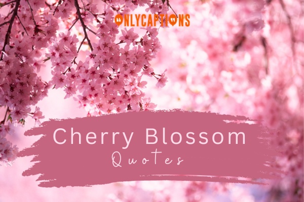 Cherry Blossom Quotes (2025)