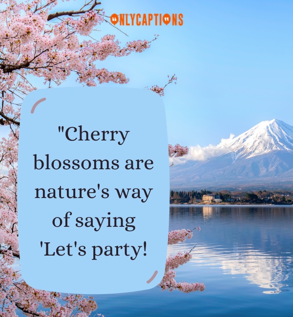 Cherry Blossom Quotes 2-OnlyCaptions