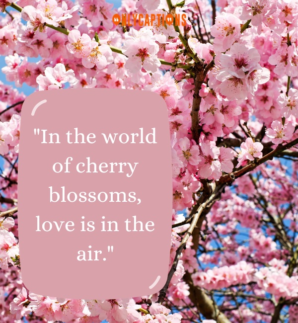 Cherry Blossom Quotes 3-OnlyCaptions