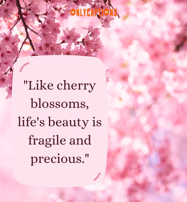 Cherry Blossom Quotes-OnlyCaptions