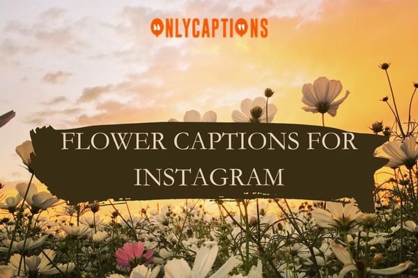 Flower Captions For Instagram-OnlyCaptions