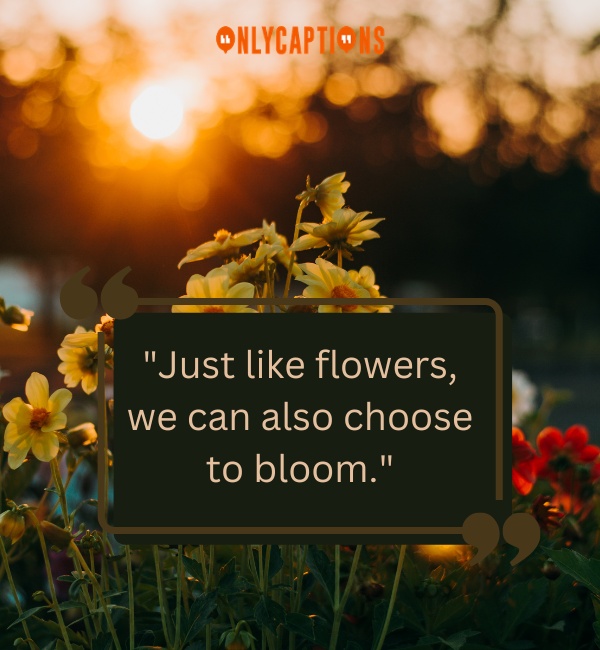 Flower Captions For Instagram-OnlyCaptions