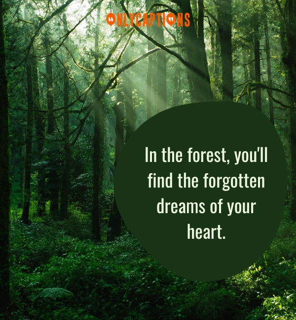 Forest Quotes 2-OnlyCaptions