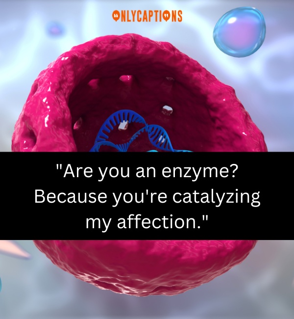 Nucleolus Pick Up Lines 1-OnlyCaptions