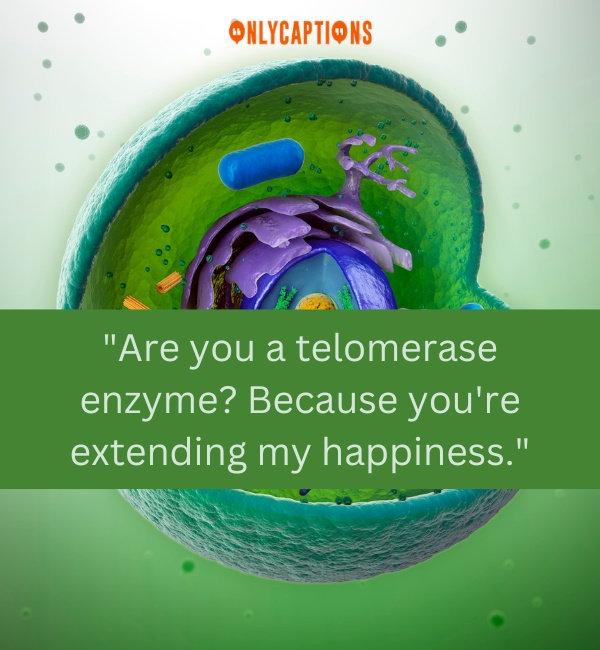 Nucleolus Pick Up Lines 2-OnlyCaptions