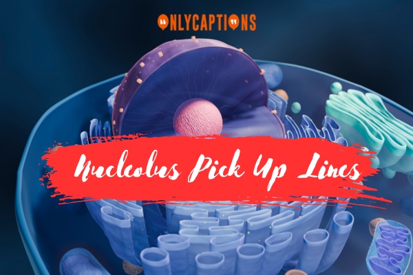 Nucleolus Pick Up Lines-OnlyCaptions