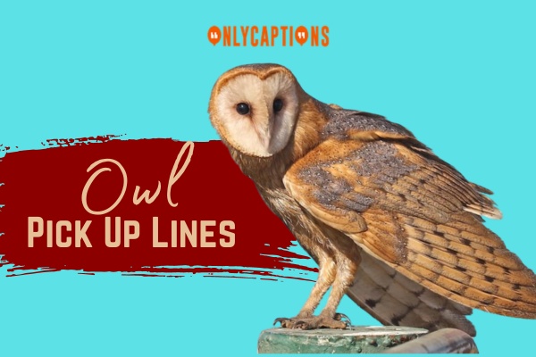Owl Pick Up Lines 1-OnlyCaptions