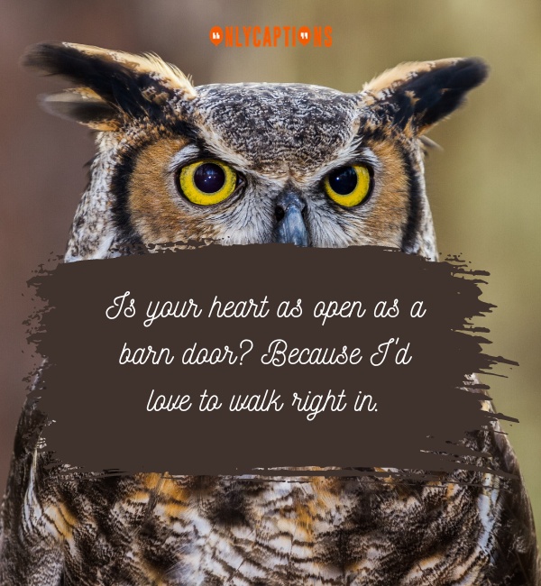 Owl Pick Up Lines-OnlyCaptions