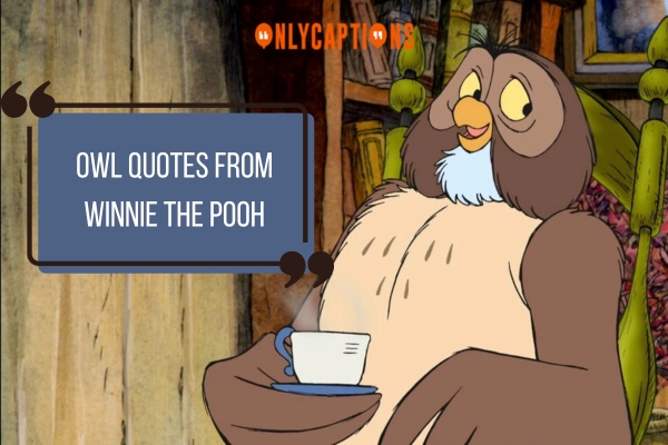 Owl Quotes From Winnie The Pooh 1-OnlyCaptions