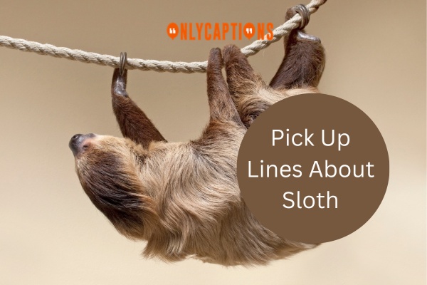 Pick Up Lines About Sloth 1-OnlyCaptions