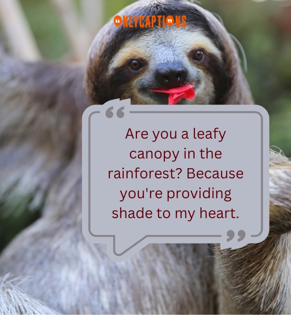 Pick Up Lines About Sloth 3-OnlyCaptions