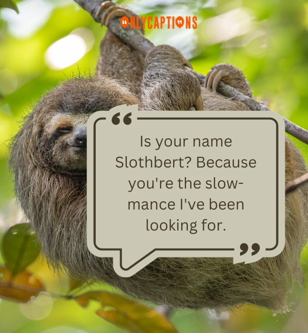 Pick Up Lines About Sloth-OnlyCaptions