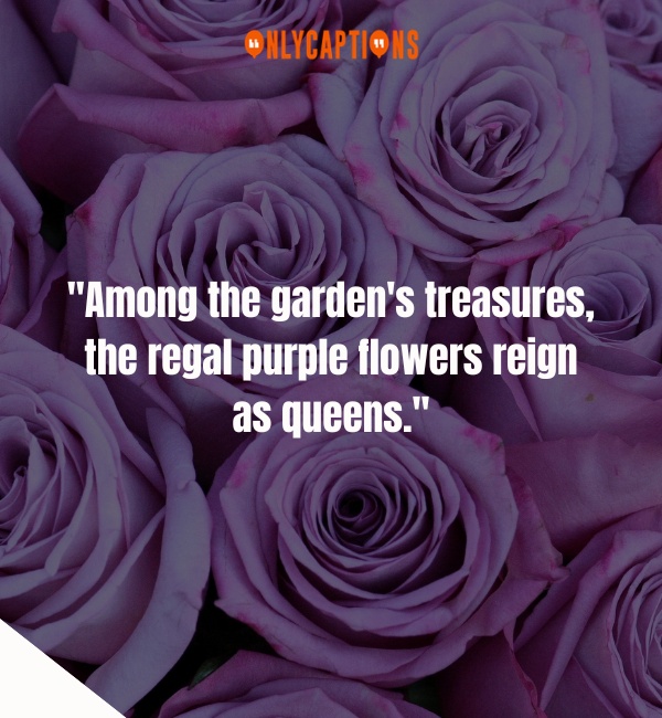 Purple Flowers-OnlyCaptions
