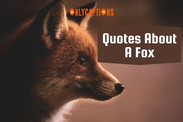 Quotes About A Fox 1-OnlyCaptions