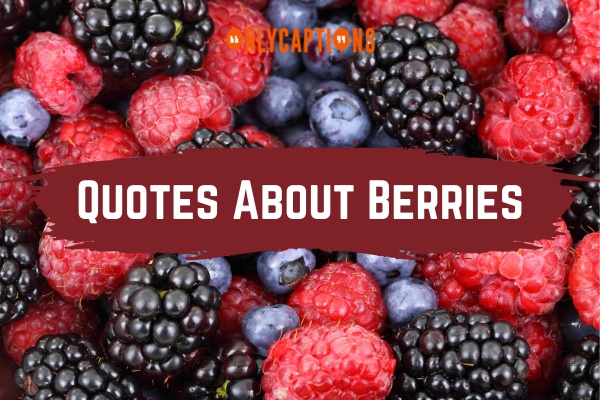 Quotes About Berries (2024)
