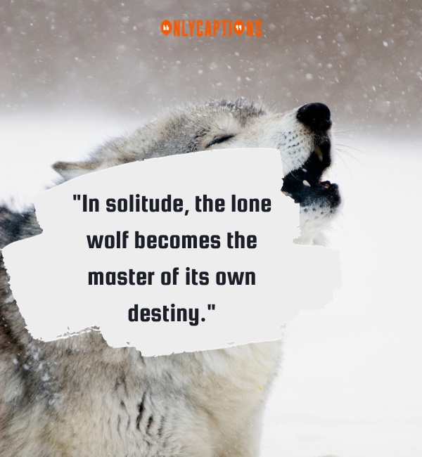 Quotes About Lone Wolf 3-OnlyCaptions