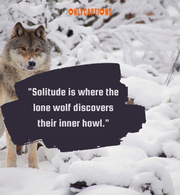 Quotes About Lone Wolf-OnlyCaptions
