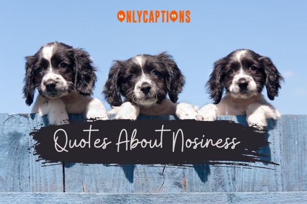 Quotes About Nosiness 4-OnlyCaptions