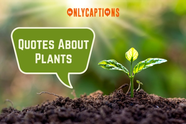 Quotes About Plants 1-OnlyCaptions