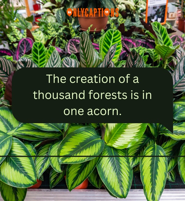 Quotes About Plants 2-OnlyCaptions