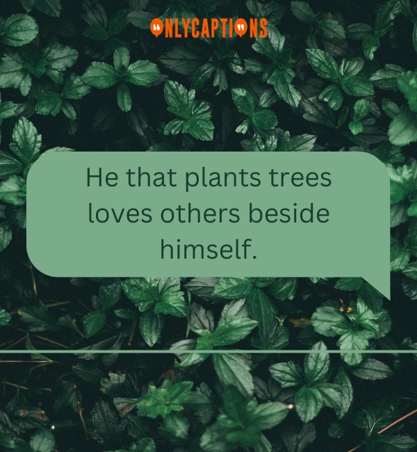 Quotes About Plants 3-OnlyCaptions