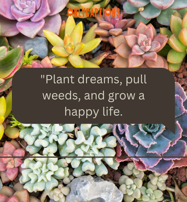 Quotes About Plants-OnlyCaptions