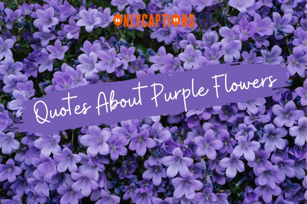 Quotes About Purple Flowers-OnlyCaptions