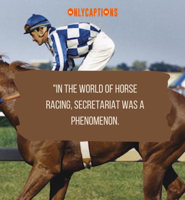 Quotes About Secretariat-OnlyCaptions