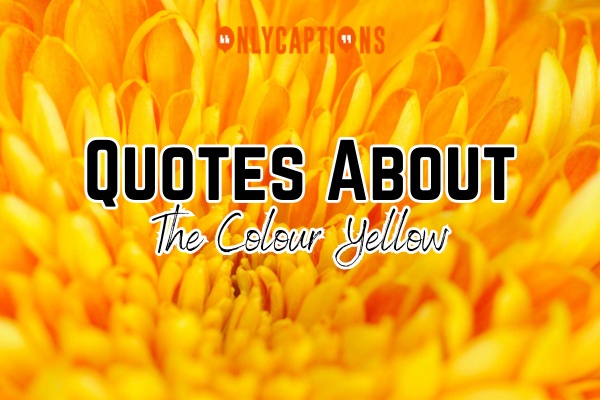 Quotes About The Colour Yellow (2024)