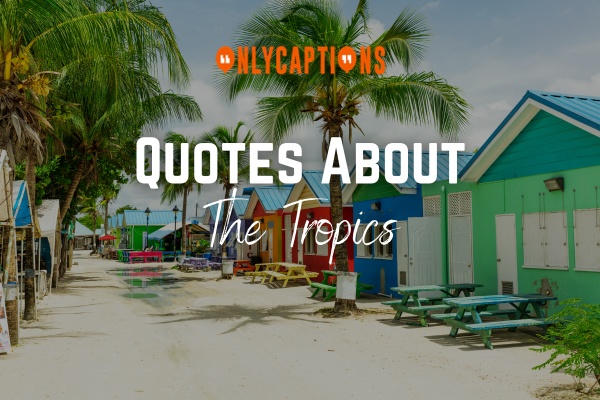 Quotes About The Tropics 1-OnlyCaptions