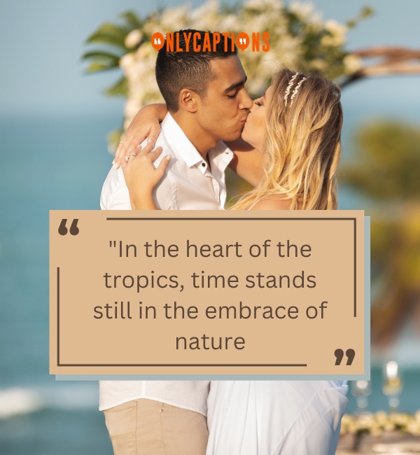 Quotes About The Tropics-OnlyCaptions