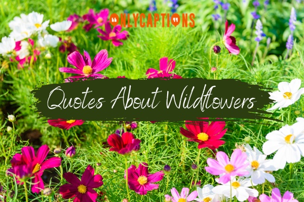 Quotes About Wildflowers 1-OnlyCaptions
