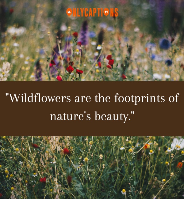Quotes About Wildflowers 2 1-OnlyCaptions
