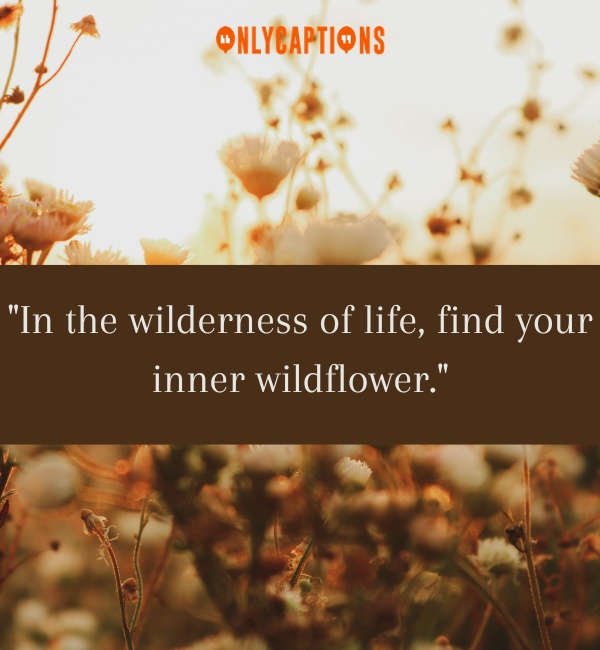 Quotes About Wildflowers 3 1-OnlyCaptions