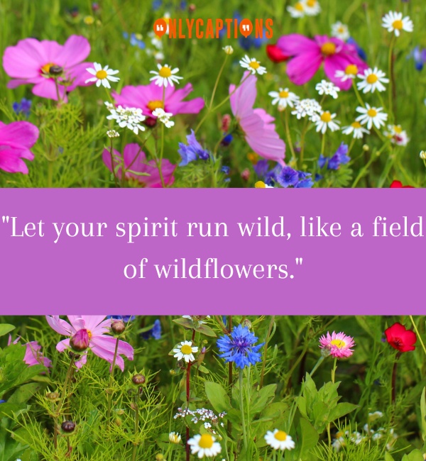 Quotes About Wildflowers-OnlyCaptions