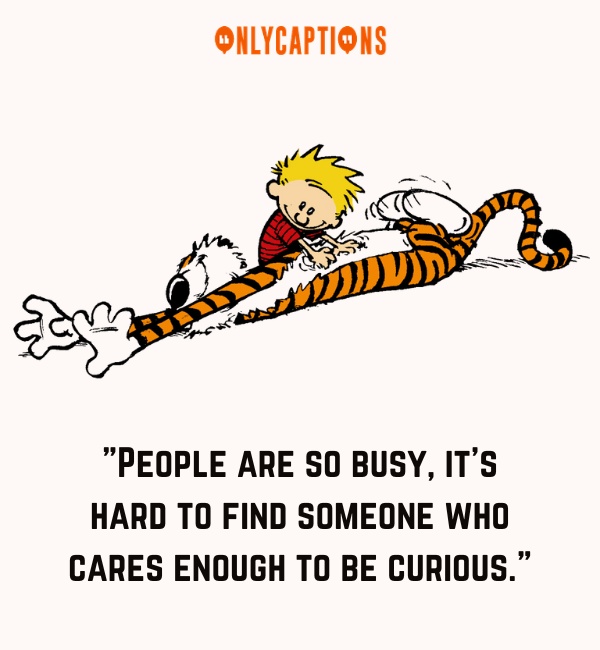 Quotes From Calvin And Hobbes 3-OnlyCaptions