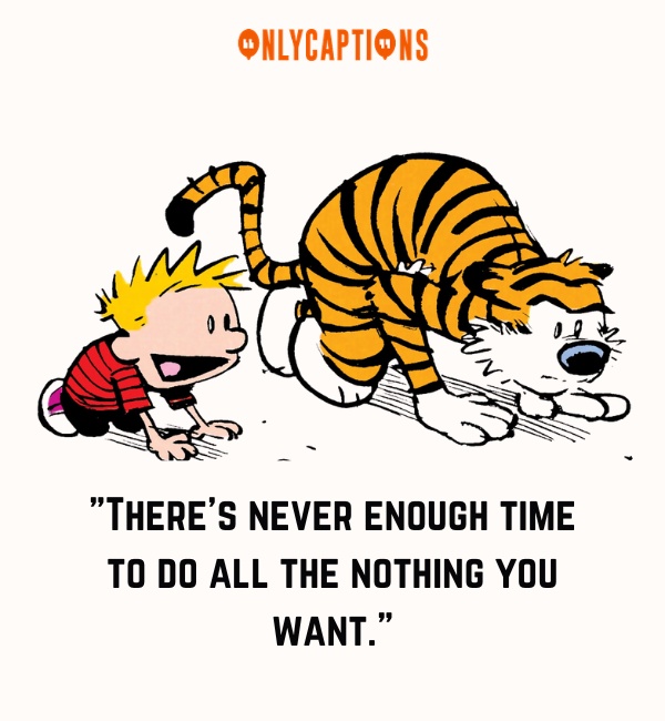 Quotes From Calvin And Hobbes-OnlyCaptions